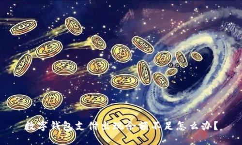 数字钱包支付出现余额不足怎么办?