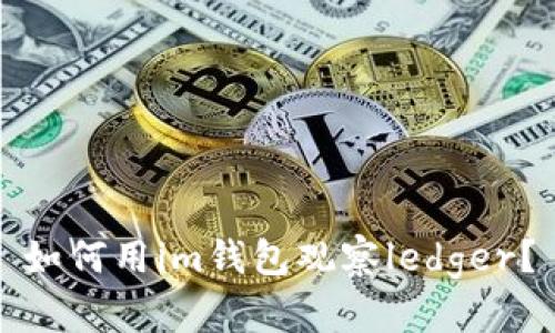 如何用im钱包观察ledger?