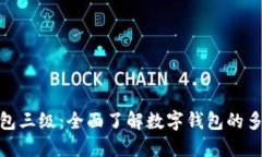 数字钱包三级：全面了解数字钱包的多重安全