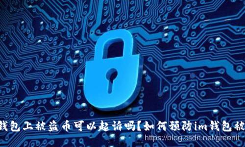 im钱包上被盗币可以起诉吗?如何预防im钱包被盗?