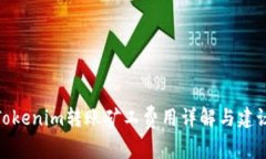 Tokenim转账矿工费用详解与建议