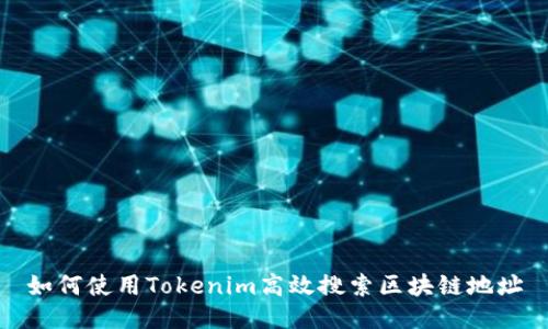 如何使用Tokenim高效搜索区块链地址
