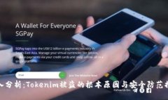 深入分析：Tokenim被盗的根本原因与安全防范措施