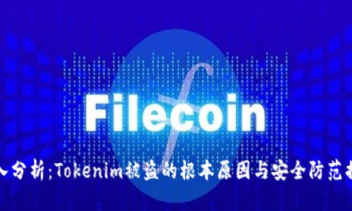 深入分析：Tokenim被盗的根本原因与安全防范措施