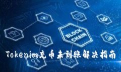 Tokenim充币未到账解决指南
