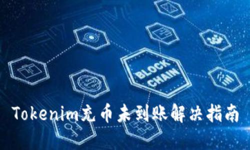 Tokenim充币未到账解决指南
