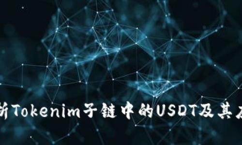 深入解析Tokenim子链中的USDT及其应用前景