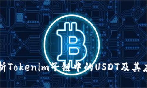 深入解析Tokenim子链中的USDT及其应用前景