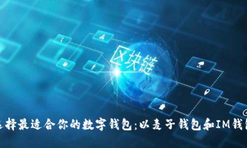 如何选择最适合你的数字钱包：以麦子钱包和IM钱包为例