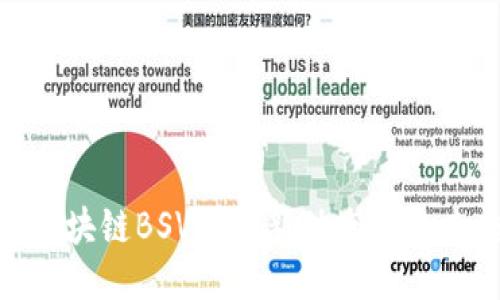 探索区块链BSV的最新动态与未来趋势