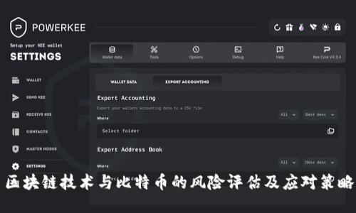 区块链技术与比特币的风险评估及应对策略