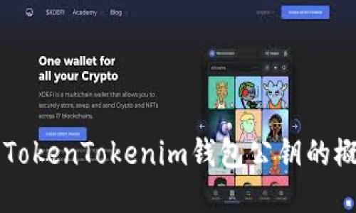 深入了解TokenTokenim钱包公钥的概念和应用