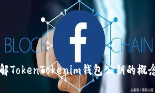 深入了解TokenTokenim钱包公钥的概念和应用