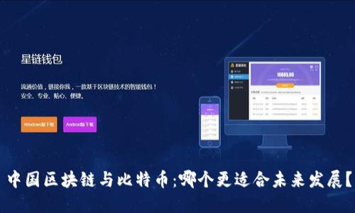 中国区块链与比特币：哪个更适合未来发展？
