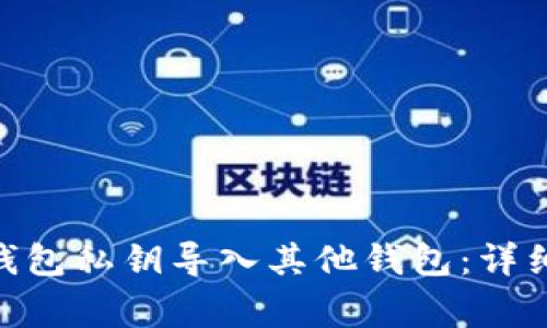 如何将Tokenim钱包私钥导入其他钱包：详细步骤与注意事项