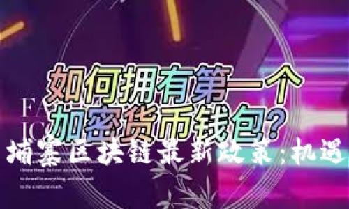 深入解读柬埔寨区块链最新政策：机遇与挑战并存
