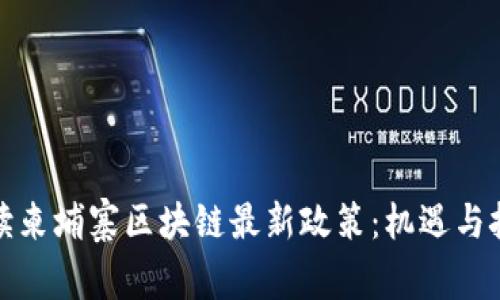 深入解读柬埔寨区块链最新政策：机遇与挑战并存