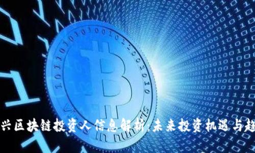 新兴区块链投资人信息解析：未来投资机遇与趋势