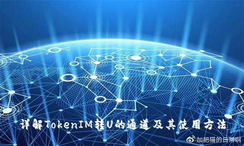 详解TokenIM转U的通道及其使用方法