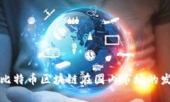 深入探讨比特币区块链在国内市场的发展与挑战