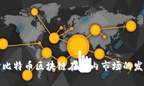 深入探讨比特币区块链在国内市场的发展与挑战