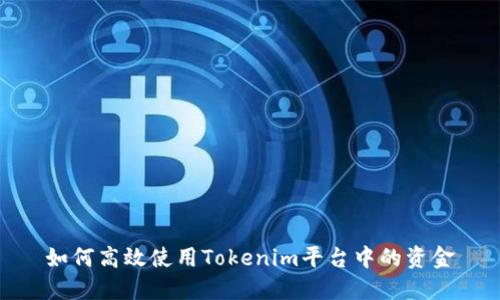 如何高效使用Tokenim平台中的资金
