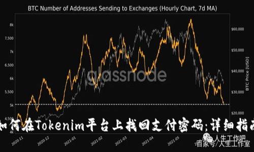 如何在Tokenim平台上找回支付密码：详细指南