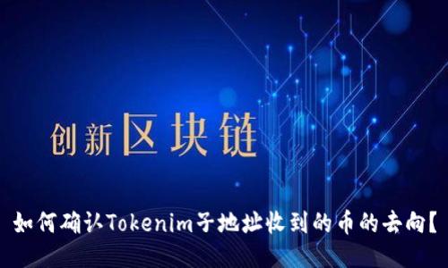 如何确认Tokenim子地址收到的币的去向？