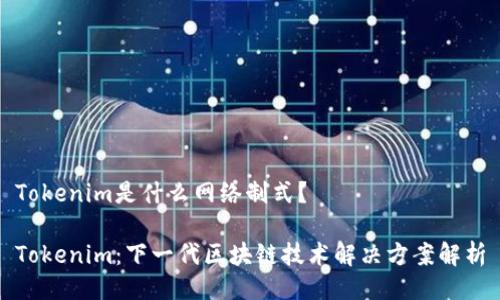 Tokenim是什么网络制式？

Tokenim：下一代区块链技术解决方案解析