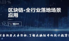 实时查询柴犬币价格：了解区块链中的新兴数字