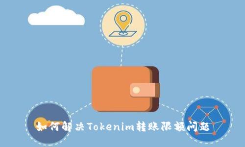 如何解决Tokenim转账限额问题
