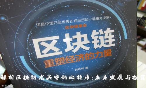 深入解析区块链龙头中的比特币：未来发展与投资机会