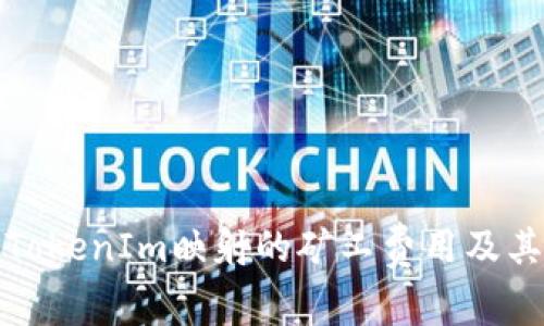 探讨TokenIm映射的矿工费用及其因素