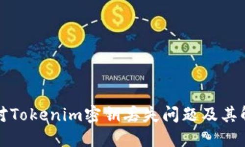 如何应对Tokenim密钥丢失问题及其解决方案