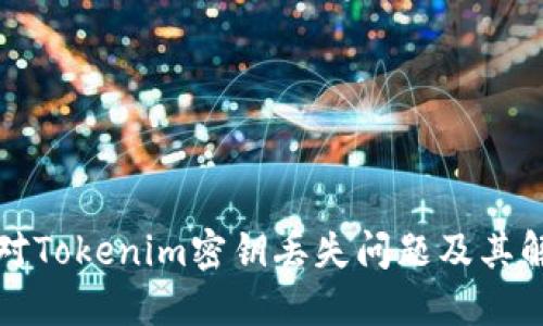 如何应对Tokenim密钥丢失问题及其解决方案