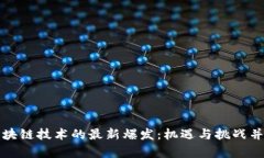 区块链技术的最新爆发：机遇与挑战并存