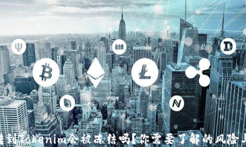 
黑U转到Tokenim会被冻结吗？你需要了解的风险与对策