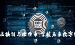  深入理解区块链与比特币：掌握未来数字经济的