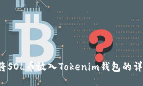  如何将SOL币放入Tokenim钱包的详细指南