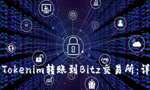 如何将Tokenim转账到Bitz交易所：详细指南