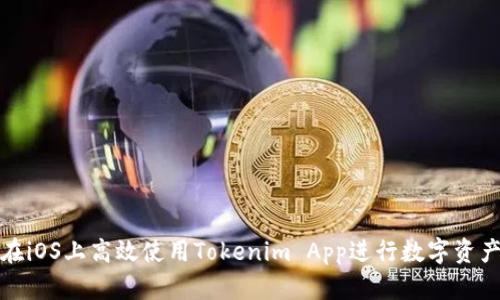 如何在iOS上高效使用Tokenim App进行数字资产管理