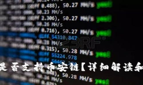 TokenIM是否支持币安链？详细解读和使用指南