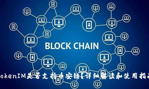 TokenIM是否支持币安链？详细解读和使用指南