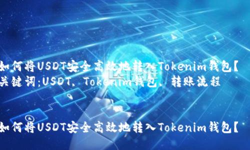 如何将USDT安全高效地转入Tokenim钱包？  
关键词：USDT, Tokenim钱包, 转账流程


如何将USDT安全高效地转入Tokenim钱包？