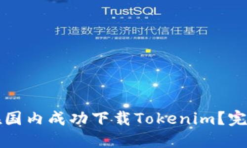 如何在国内成功下载Tokenim？完整指南