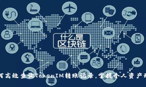 如何高效查询TokenIM转账记录，掌握个人资产动态