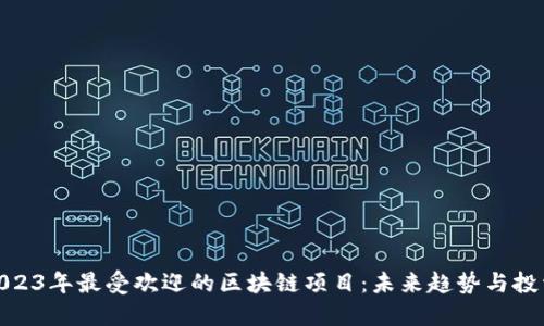 探索2023年最受欢迎的区块链项目：未来趋势与投资机会