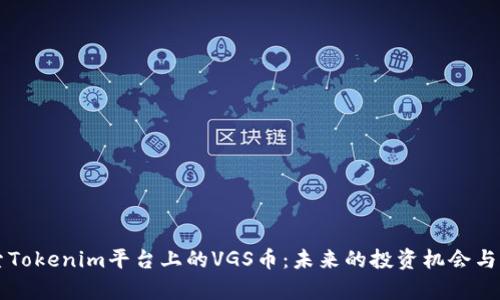 深入探索Tokenim平台上的VGS币：未来的投资机会与风险分析