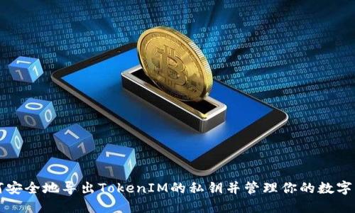 如何安全地导出TokenIM的私钥并管理你的数字资产