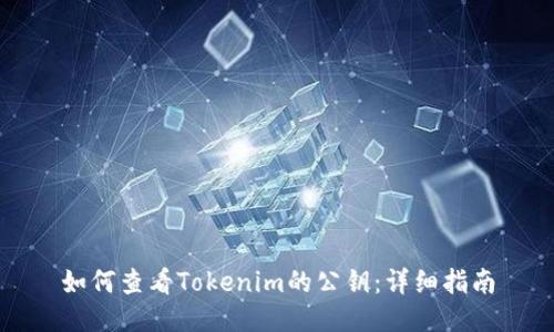 如何查看Tokenim的公钥：详细指南
